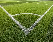 金赛纶好友,揭露其隐私,困境,欧宝娱乐官网,欧宝娱乐品牌,欧宝娱乐精彩,欧宝娱乐